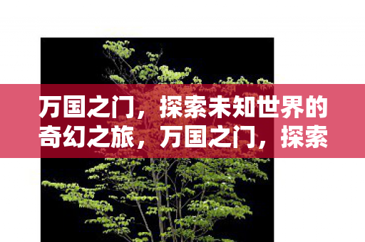 万国之门,探索未知世界的奇幻之旅,万国之门,探索未知世界的奇幻之旅 万国之门,探索未知世界的奇幻之旅,万国之门,探索未知世界的奇幻之旅