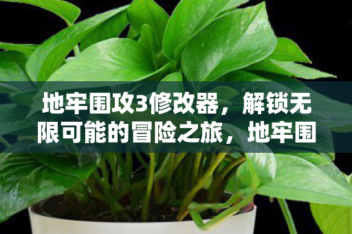 地牢围攻3修改器，解锁无限可能的冒险之旅，地牢围攻3修改器，解锁无限可能的冒险之旅
