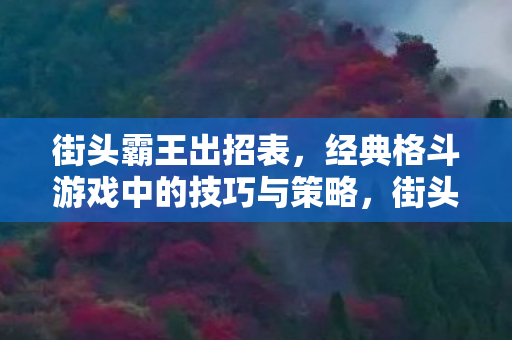 街头霸王出招表，经典格斗游戏中的技巧与策略，街头霸王出招表，经典格斗游戏中的技巧与策略解析
