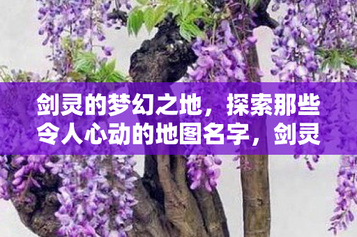 探索那些令人心动的地图名字图片