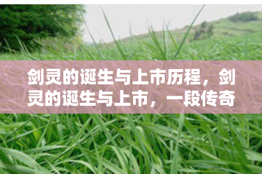 剑灵的诞生与上市历程图片