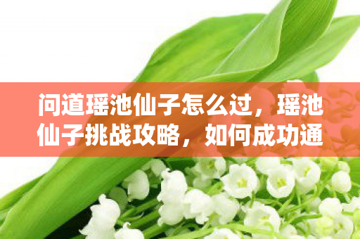 问道瑶池仙子怎么过，瑶池仙子挑战攻略，如何成功通过？