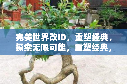 完美世界改ID，重塑经典，探索无限可能，重塑经典，探索无限可能，完美世界改ID