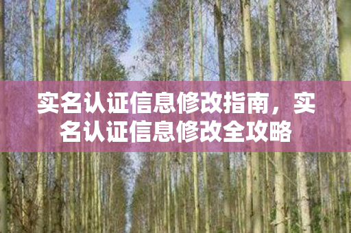 实名认证信息修改指南，实名认证信息修改全攻略