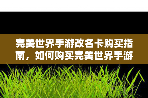 完美世界手游改名卡购买指南图片