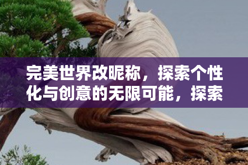 完美世界改昵称，探索个性化与创意的无限可能，探索个性化与创意的无限可能，完美世界改昵称