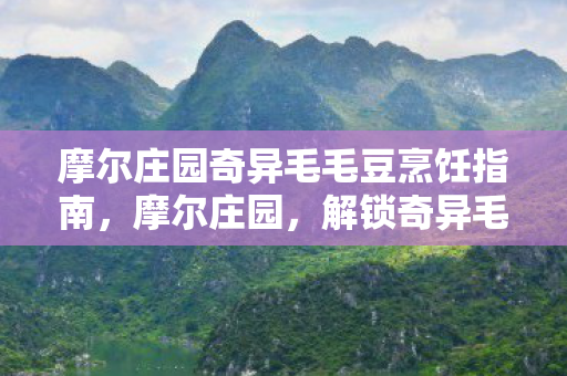 摩尔庄园奇异毛毛豆烹饪指南，摩尔庄园，解锁奇异毛毛豆烹饪秘籍