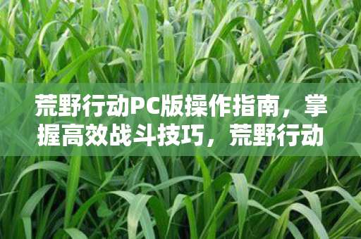 荒野行动PC版高效战斗技巧全解析图片