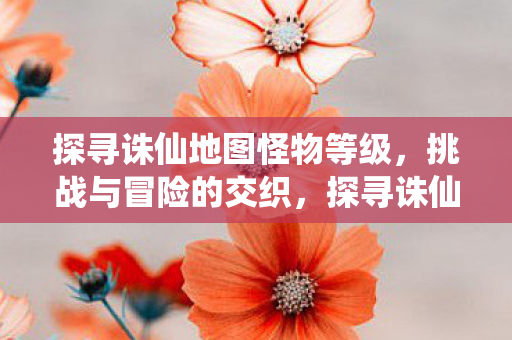 怪物等级与冒险挑战交织的奇幻之旅图片
