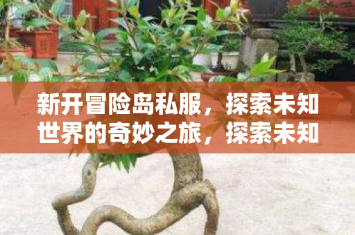 探索未知世界的奇妙之旅图片