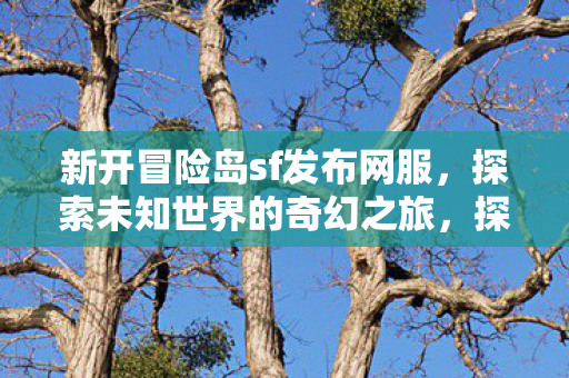 新开冒险岛sf发布网服，探索未知世界的奇幻之旅，探索奇幻之旅，新开冒险岛sf发布网服等你来挑战