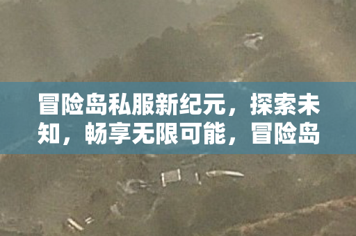 冒险岛私服新纪元图片