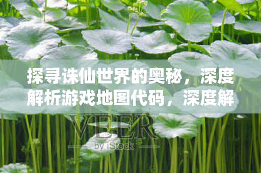 探寻诛仙世界的地图代码奥秘图片