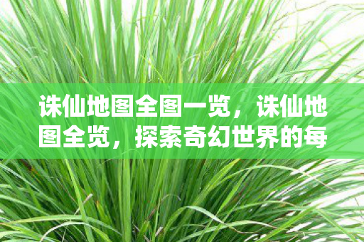 探索奇幻世界的每一个角落图片