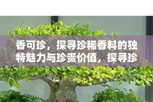 香可珍，探寻珍稀香料的独特魅力与珍贵价值，探寻珍稀香料香可珍的独特魅力与珍贵价值