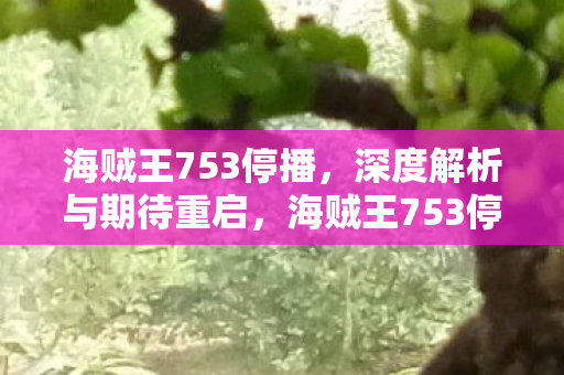 海贼王753停播,深度解析与期待重启,海贼王753停播,深度解析与期待重启重启之路 海贼王753停播,深度解析与期待重启,海贼王753停播,深度解析与期待重启重启之路