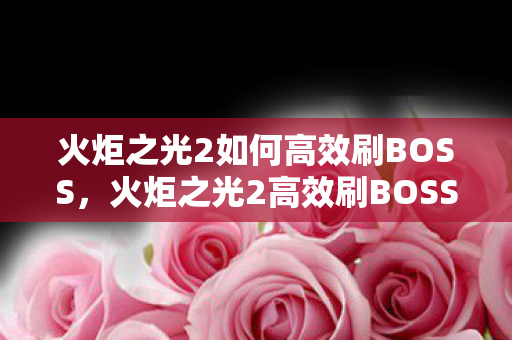 火炬之光2如何高效刷BOSS，火炬之光2高效刷BOSS攻略，提升战斗效率，轻松击败BOSS