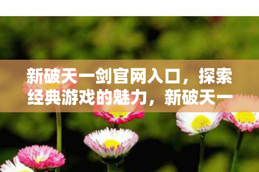 新破天一剑官网入口图片