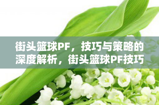 街头篮球PF技巧与策略全解析图片