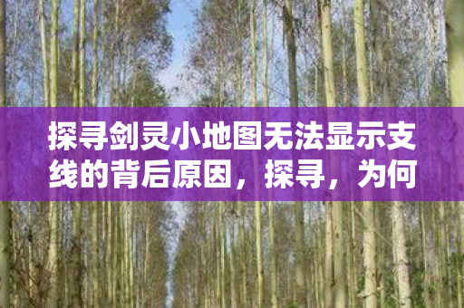 探寻剑灵小地图无法显示支线的背后原因图片