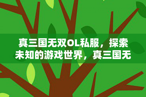 真三国无双OL私服，探索未知的游戏世界，真三国无双OL私服，探索未知的游戏世界