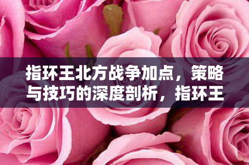 指环王北方战争加点，策略与技巧的深度剖析，指环王，北方战争策略与技巧深度剖析