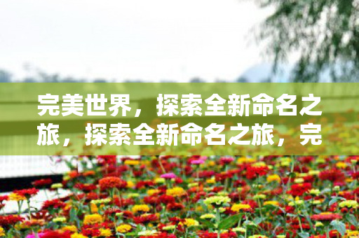 完美世界,探索全新命名之旅,探索全新命名之旅,完美世界的命名艺术 完美世界,探索全新命名之旅,探索全新命名之旅,完美世界的命名艺术