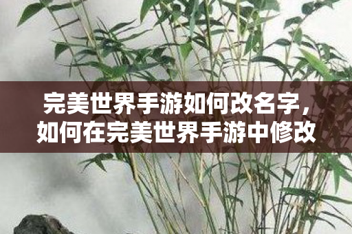 如何在完美世界手游中修改角色名字图片
