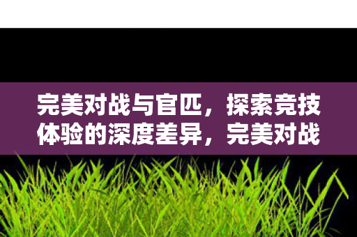 完美对战与官匹，探索竞技体验的深度差异，完美对战与官匹，竞技体验的深度差异