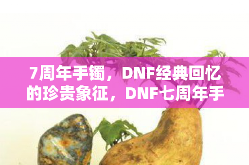 7周年手镯，DNF经典回忆的珍贵象征，DNF七周年手镯，经典回忆的珍贵象征