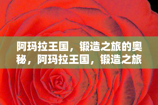 阿玛拉王国，锻造之旅的奥秘，阿玛拉王国，锻造之旅的奥秘