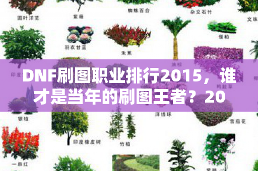 DNF刷图职业排行2015，谁才是当年的刷图王者？2015年DNF刷图职业排行，谁才是当年的刷图王者？