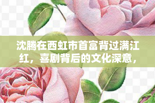 沈腾在西虹市首富背过满江红，喜剧背后的文化深意，沈腾西虹市首富背后的文化深意，满江红的隐喻与喜剧的深层含义
