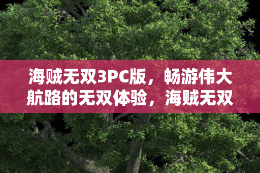 海贼无双3PC版，畅游伟大航路的无双体验，海贼无双3PC版，畅游伟大航路的无双体验