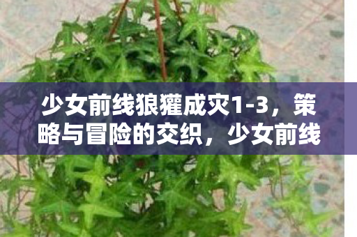 少女前线狼獾成灾1-3,策略与冒险的交织,少女前线狼獾成灾1-3,策略与冒险的交织之旅 少女前线狼獾成灾1-3,策略与冒险的交织,少女前线狼獾成灾1-3,策略与冒险的交织之旅
