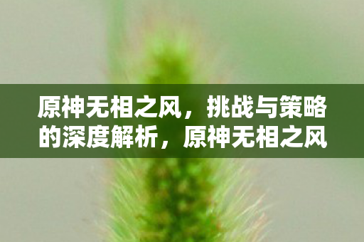 原神无相之风,挑战与策略的深度解析,原神无相之风,挑战与策略的全面解析 原神无相之风,挑战与策略的深度解析,原神无相之风,挑战与策略的全面解析