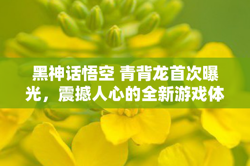 黑神话悟空 青背龙首次曝光,震撼人心的全新游戏体验,黑神话悟空,青背龙震撼登场,全新游戏体验震撼人心 黑神话悟空 青背龙首次曝光,震撼人心的全新游戏体验,黑神话悟空,青背龙震撼登场,全新游戏体验震撼人心