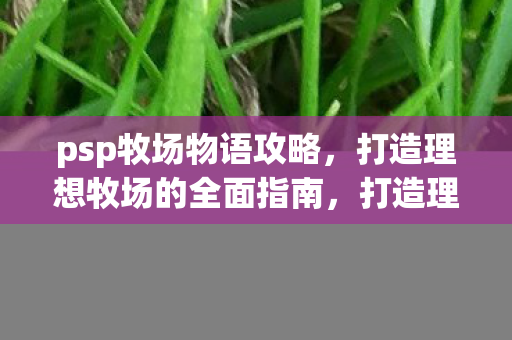 psp牧场物语攻略,打造理想牧场的全面指南,打造理想牧场,PSP牧场物语全面攻略 psp牧场物语攻略,打造理想牧场的全面指南,打造理想牧场,PSP牧场物语全面攻略