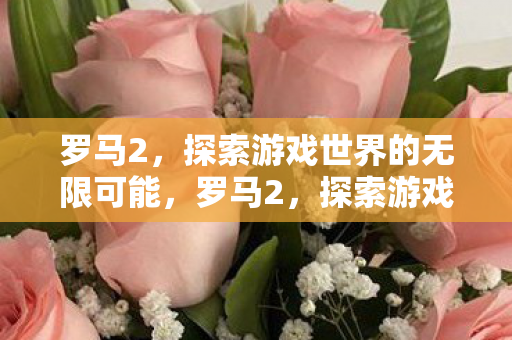 罗马2,探索游戏世界的无限可能,罗马2,探索游戏世界的无限可能 罗马2,探索游戏世界的无限可能,罗马2,探索游戏世界的无限可能