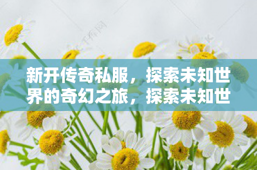 新开传奇私服，探索未知世界的奇幻之旅，探索未知世界的奇幻之旅，新开传奇私服等你来战！