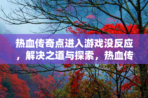 热血传奇点进入游戏没反应，解决之道与探索，热血传奇点游戏无法启动的解决之道与探索