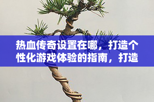 热血传奇设置在哪，打造个性化游戏体验的指南，打造个性化游戏体验，热血传奇设置全解析