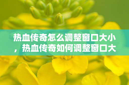 热血传奇怎么调整窗口大小，热血传奇如何调整窗口大小