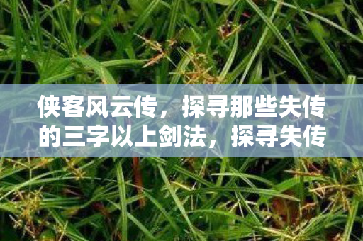 侠客风云传，探寻那些失传的三字以上剑法，探寻失传三字以上剑法，侠客风云传中的剑术传奇