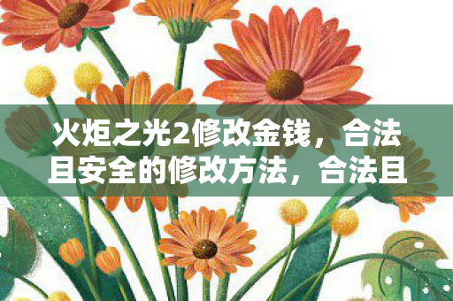 火炬之光2修改金钱，合法且安全的修改方法，合法且安全的火炬之光2修改金钱方法