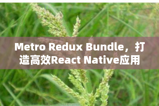 Metro Redux Bundle,打造高效React Native应用的利器,Metro Redux Bundle,打造高效React Native应用的利器 Metro Redux Bundle,打造高效React Native应用的利器,Metro Redux Bundle,打造高效React Native应用的利器