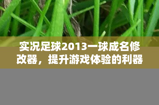 实况足球2013一球成名修改器,提升游戏体验的利器,实况足球2013一球成名修改器,提升游戏体验的必备利器 实况足球2013一球成名修改器,提升游戏体验的利器,实况足球2013一球成名修改器,提升游戏体验的必备利器