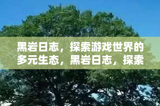 黑岩日志,探索游戏世界的多元生态,黑岩日志,探索游戏世界的多元生态 黑岩日志,探索游戏世界的多元生态,黑岩日志,探索游戏世界的多元生态