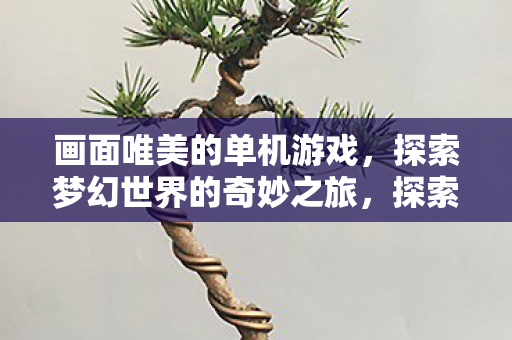 画面唯美的单机游戏，探索梦幻世界的奇妙之旅，探索梦幻世界的奇妙之旅，绝美单机游戏推荐