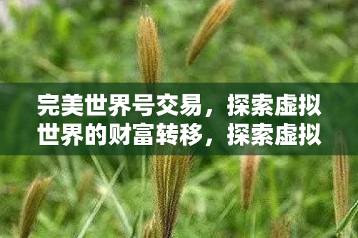 完美世界号交易，探索虚拟世界的财富转移，探索虚拟世界的财富转移，完美世界号交易